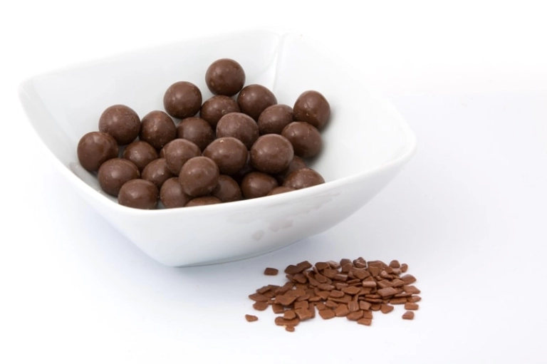 Chocolade soja balletjes proteïne dieet